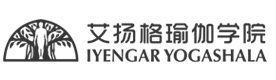 广州艾扬格瑜伽培训