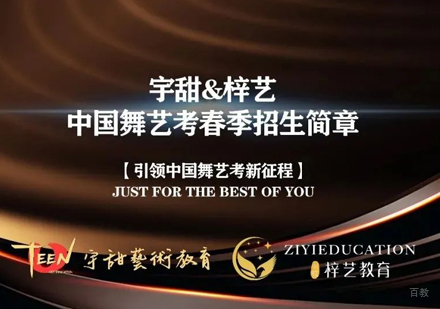郑州中国舞艺考培训