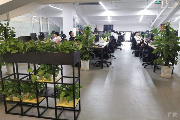 学校绿植