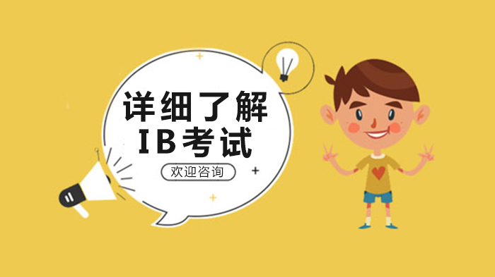 IB考试深度解析：课程体系、核心模块与全球教育认可全览