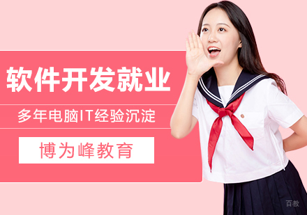 软件开发人员的方向