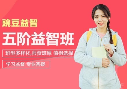 武汉五阶益智课程