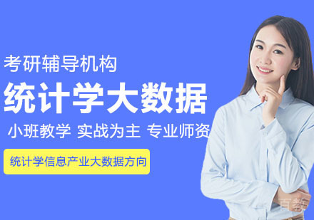 武汉对外经济贸易大学统计学信息产业大数据方向课程