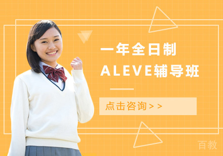 一年全日制ALEVE辅导班