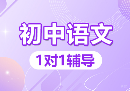 郑州初中语文一对一辅导
