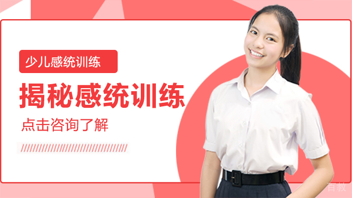揭秘感统训练