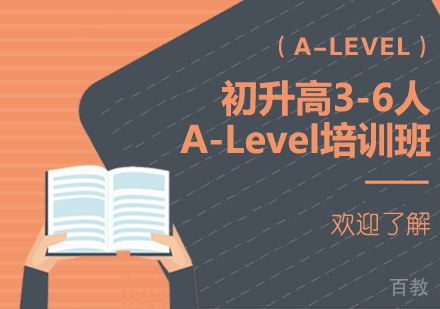 上海初升高3-6人A-Level培训班