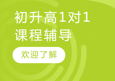 上海中考初升高1对1课程