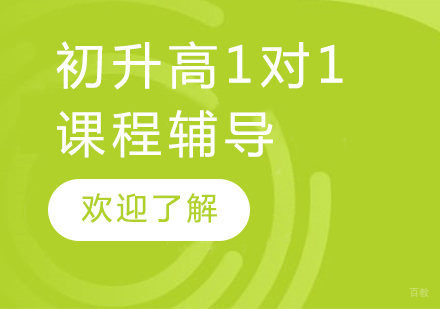 上海初升高1对1课程