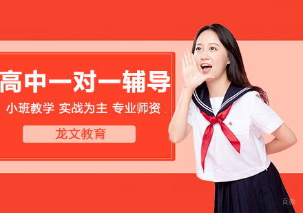 高中一对一辅导个性化教学