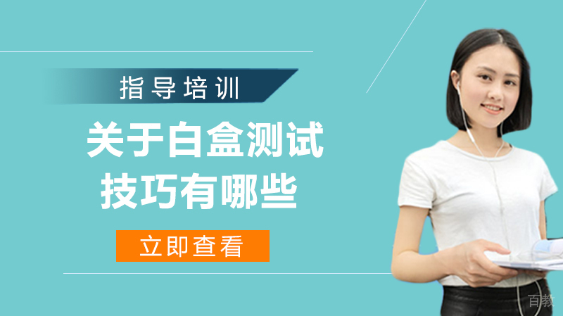 关于白盒测试的技巧有哪些?