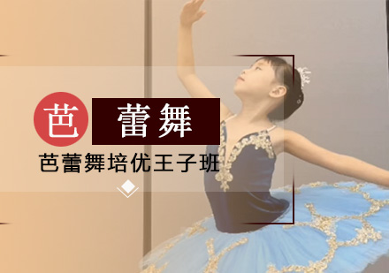 北京芭蕾舞培优王子班