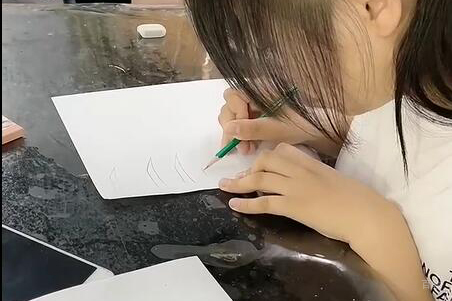 画眉理论学习