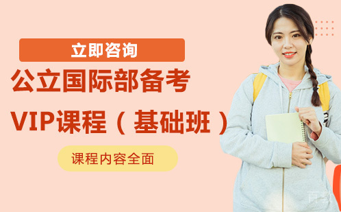 北京公立国际部备考VIP课程（基础班）