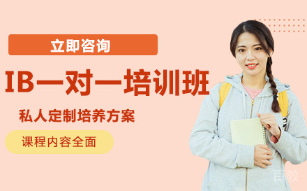 北京IB一对一培训班