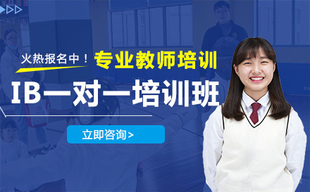 北京IB一对一培训班
