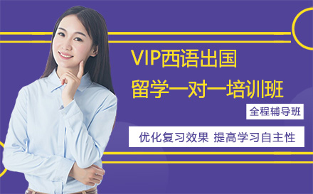 深圳小语种VIP西语出国留学一对一培训班