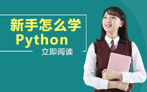 Python零基础入门全攻略：从选书到实操的系统学习指南