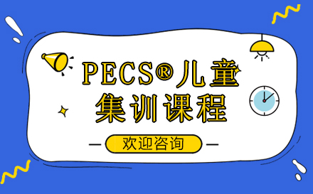 上海青少年教育PECS®儿童集训课程