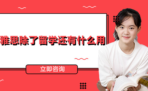 雅思除了留学还有什么用？