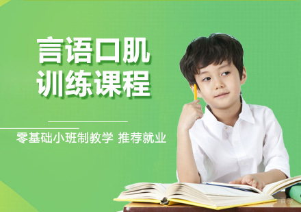 南京麦田青苗_南京少儿言语口肌训练课程