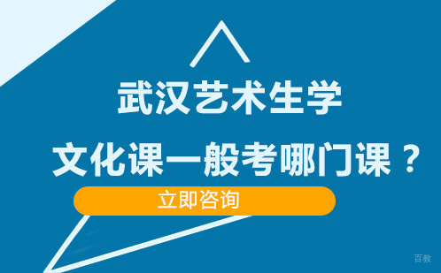 武汉艺术生学文化课一般考哪门课？