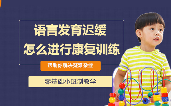 语言发育迟缓的孩子怎么进行康复训练