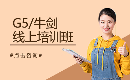 深圳国际高中G5/牛剑线上培训班