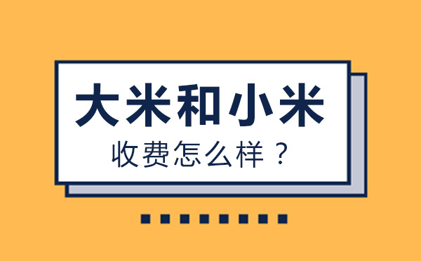 北京益智类课程-北京大米和小米收费怎么样？