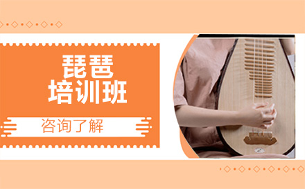 北京乐器琵琶培训班