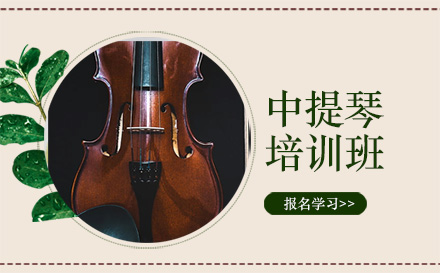 北京乐器中提琴培训班