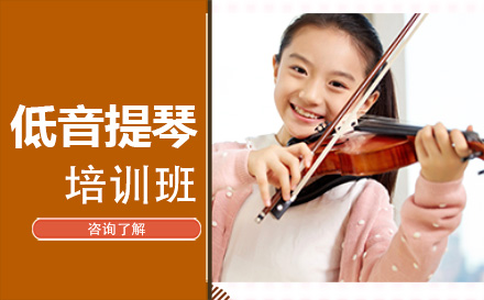北京海星音乐_在线低音提琴培训班