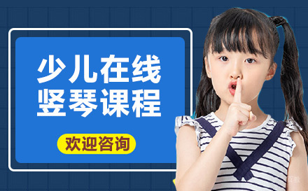 上海少儿在线竖琴课程