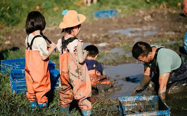 上海青少年夏令营嘉北郊野公园半日农事-挖藕半日营
