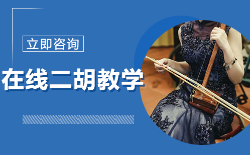 北京乐器在线二胡教学课程培训