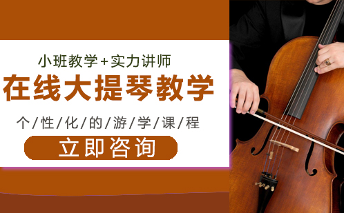 北京在线大提琴教学培训