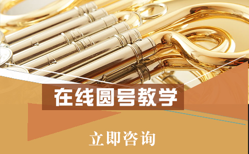 北京乐器在线圆号教学培训