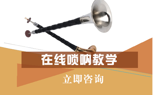 北京乐器在线唢呐教学培训