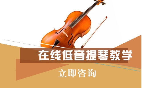 北京乐器在线低音提琴教学培训