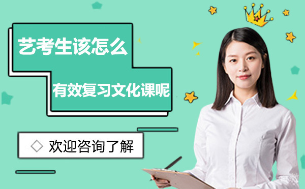 艺考生该怎么有效复习文化课呢