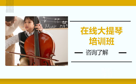 北京才艺在线大提琴培训班