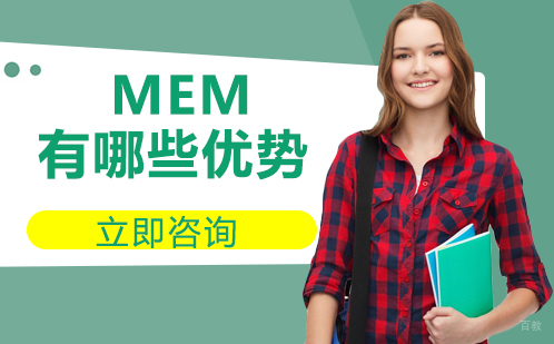 MEM有哪些优势