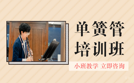 成都少儿单簧管在线培训班