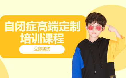 成都自闭症高端定制培训课程