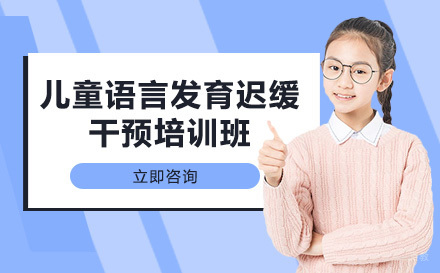 成都儿童语言发育迟缓干预培训班