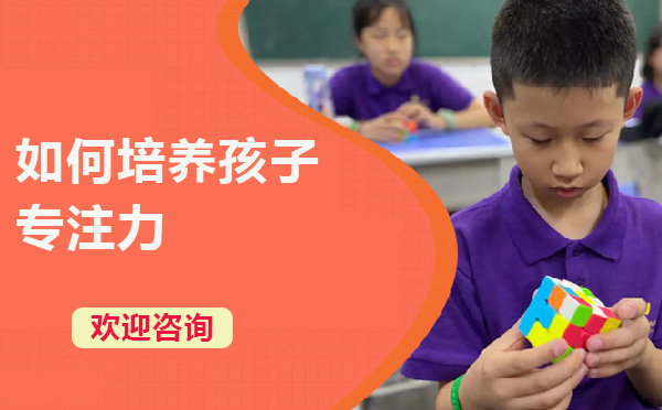 上海中小学-如何培养孩子专注力