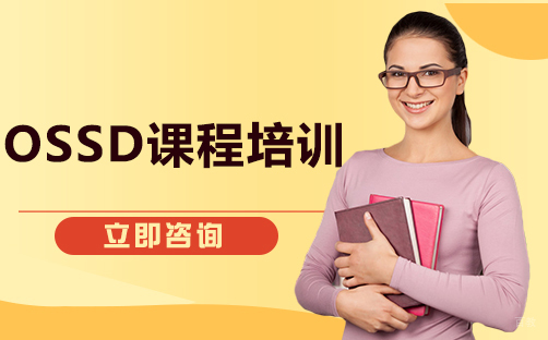 北京OSSD课程培训