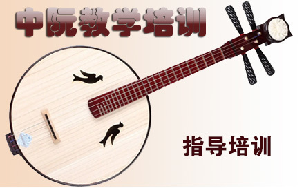 天津在线中阮教学培训