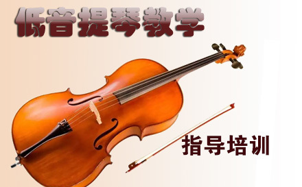 天津在线低音提琴教学培训