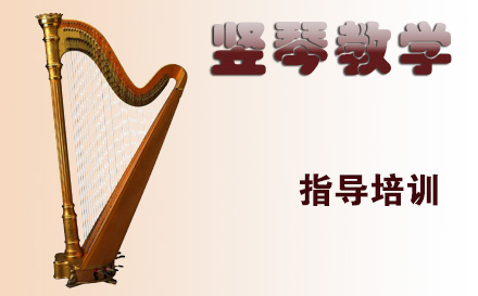 天津乐器在线竖琴教学培训